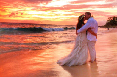 Real Brides in Cicada Wedding Dresses