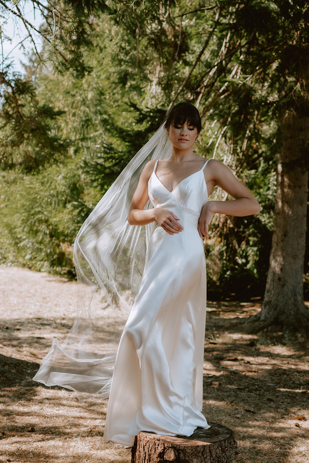 Giselle a line wedding dress - Cicada Bridal